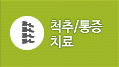 척추 통증 치료